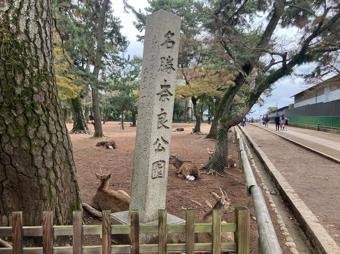 奈良市街の東側に広がる総面積約511ヘクタールという広大な公園