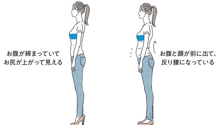 1日30秒､壁の前で動くだけ…インナーマッスルを鍛え､美姿勢を生むと医師が勧める