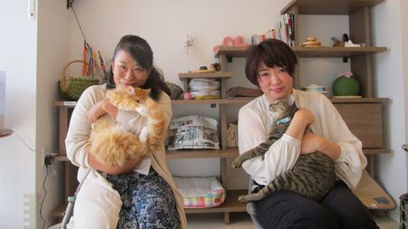 猫3000匹の殺処分を止めたい 借金500万円でも体を張って猫を助ける女性の訴え 奄美大島のノネコを助けるために President Online プレジデントオンライン