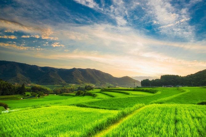 田んぼに沈む夕日 宮崎、高千穂