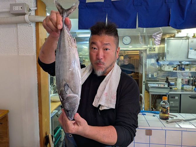 キツネガツオの異名を持つハガツオを持つ上田さん。魚のことなら何でも気さくに教えてくれます
