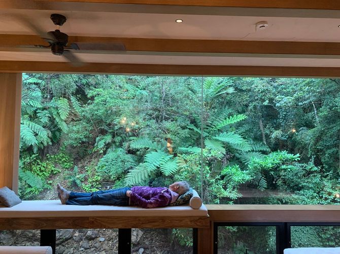 昼寝スペースでは、森の中に寝転んだような気分に