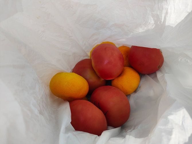 たしかにトマトを5個も6個もそのままでは食べきれないし、捨てるのも気が引ける。