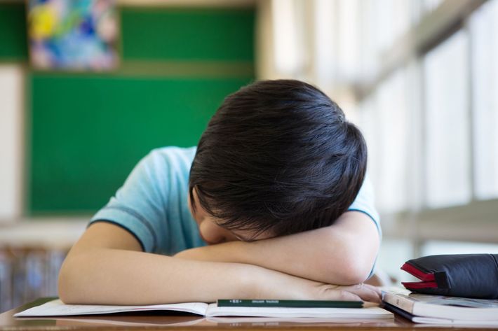 ※写真はイメージです