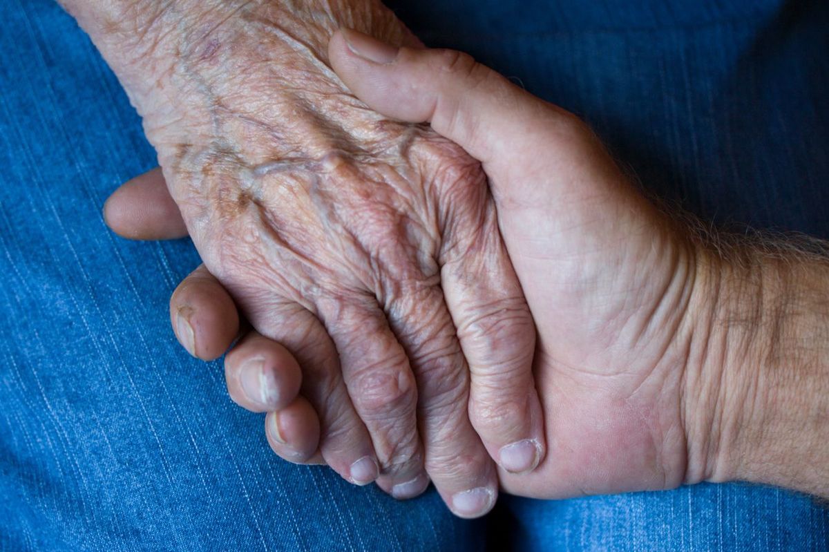 高齢の母の手を握る女性の手