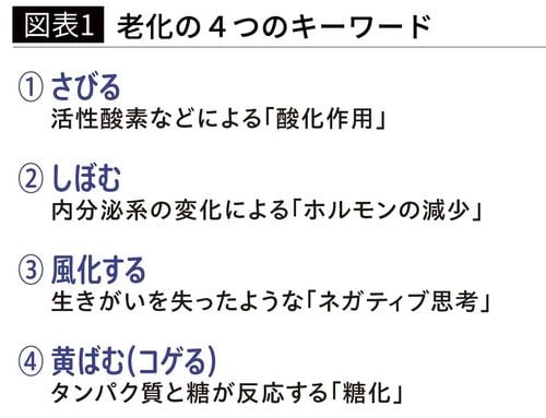 【図表1】老化の４つのキーワード