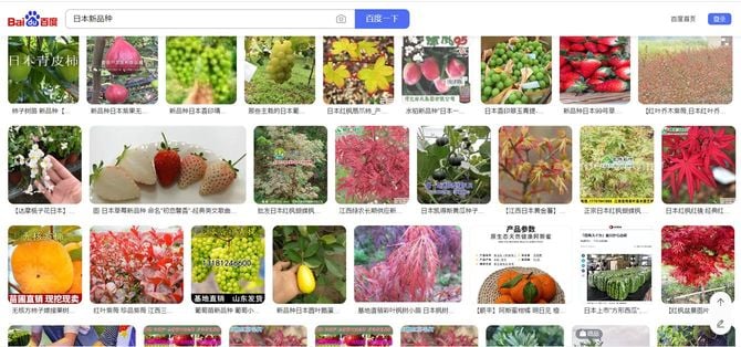 「百度」検索画面