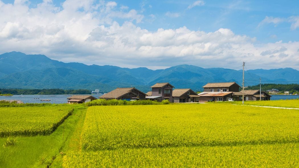 鎌倉で始まった｢使うほど知り合いが増えるお金｣の正体 人と人のつながりを可視化したい