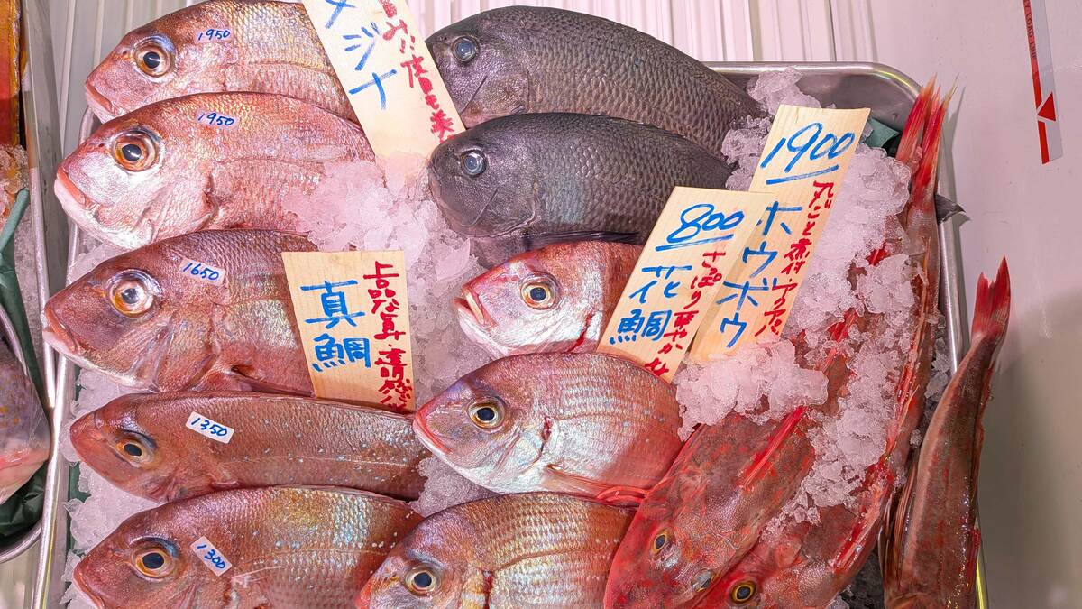 スーパーで見かけない格別な魚…｢アンコウでもクエでもない｣釣り人と 