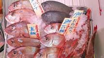 スーパーで見かけない格別な魚…｢アンコウでもクエでもない｣釣り人と食通だけが知っている