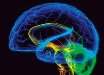 通勤電車内のスマホは脳を活性化させない