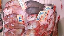 スーパーで見かけない格別な魚…｢アンコウでもクエでもない｣釣り人と食通だけが知っている