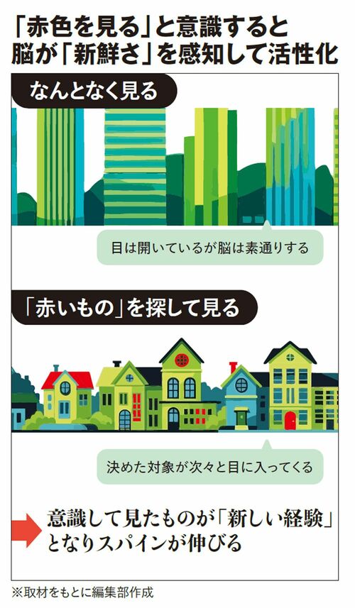 「赤色を見る」と意識すると脳が「新鮮さ」を感知して活性化
