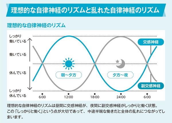 理想的な自律神経のリズムと乱れた自律神経のリズム