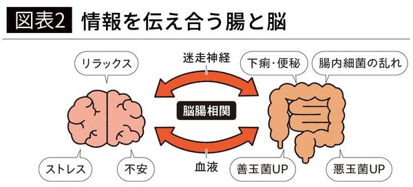 【図表2】情報を伝え合う腸と脳