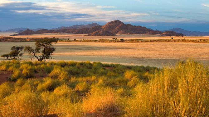夕暮れ時のアフリカ・サバンナ