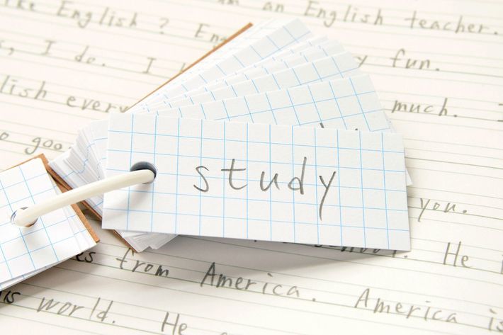 ※写真はイメージです