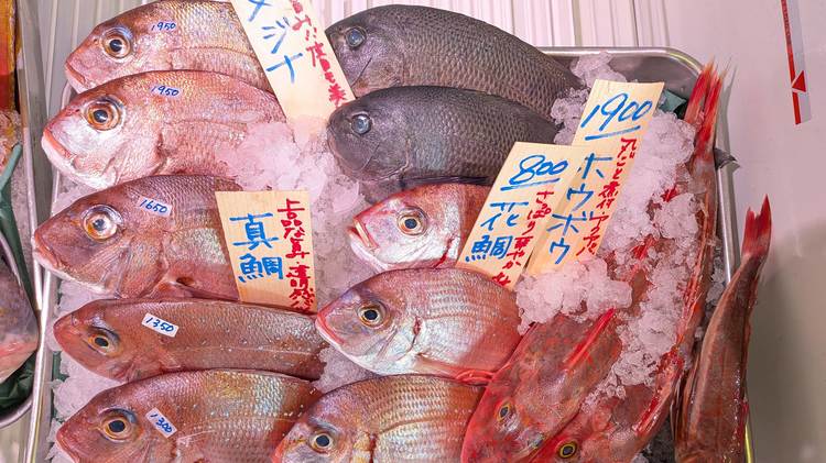 スーパーで見かけない格別な魚…｢アンコウでもクエでもない｣釣り人と食通だけが知っている
