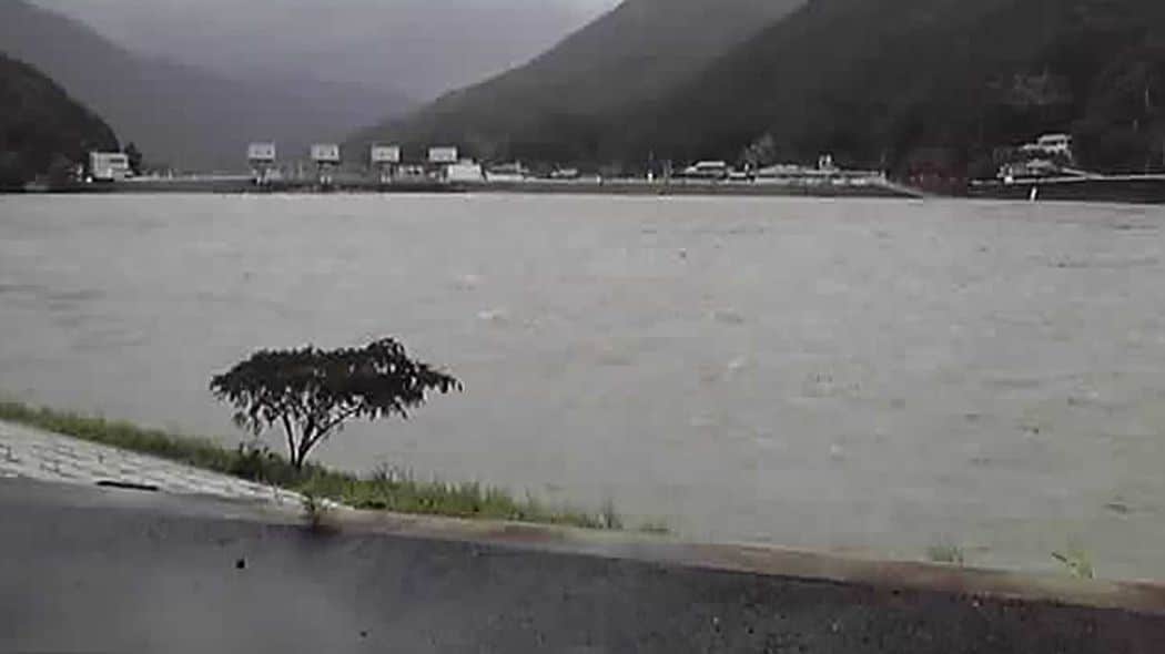 ｢川｣や｢沼｣がなくても安心できない…地名にあると水害の恐れがある｢2つの動物の名前｣【2024夏のイチオシ】 ｢水流｣や｢湿地帯｣に由来している