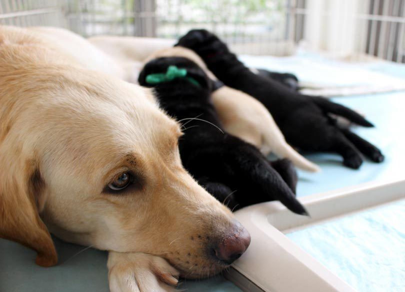 「いつも一緒」の親子はうまくいかない