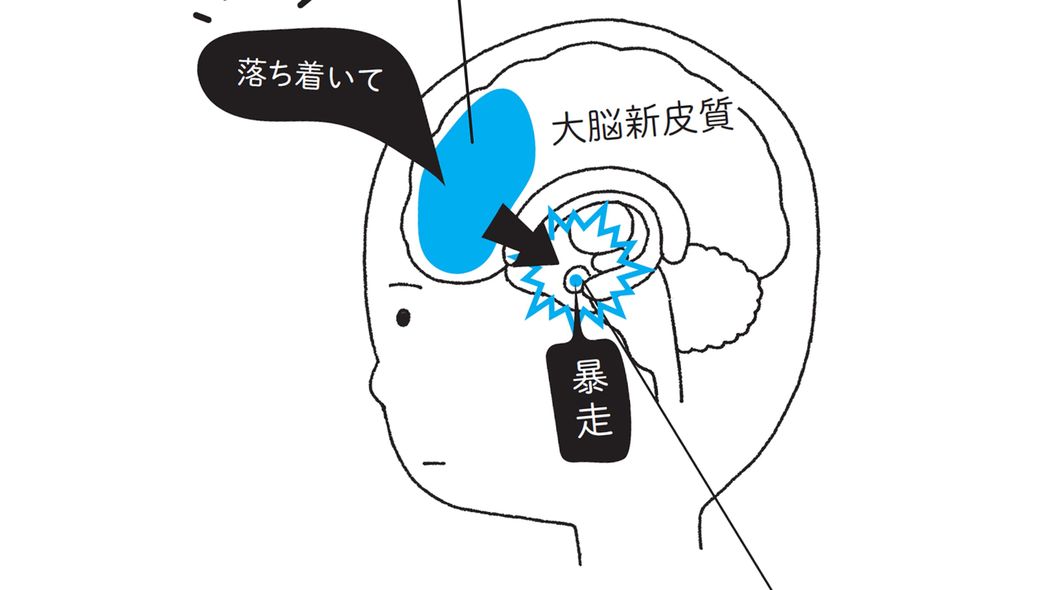 人間には｢3つの脳｣がある…精神科医が｢イライラ､モヤモヤするのはあなたのせいじゃない｣と言う理由 脳が疲れると､脳内物質のバランスが崩れてしまう