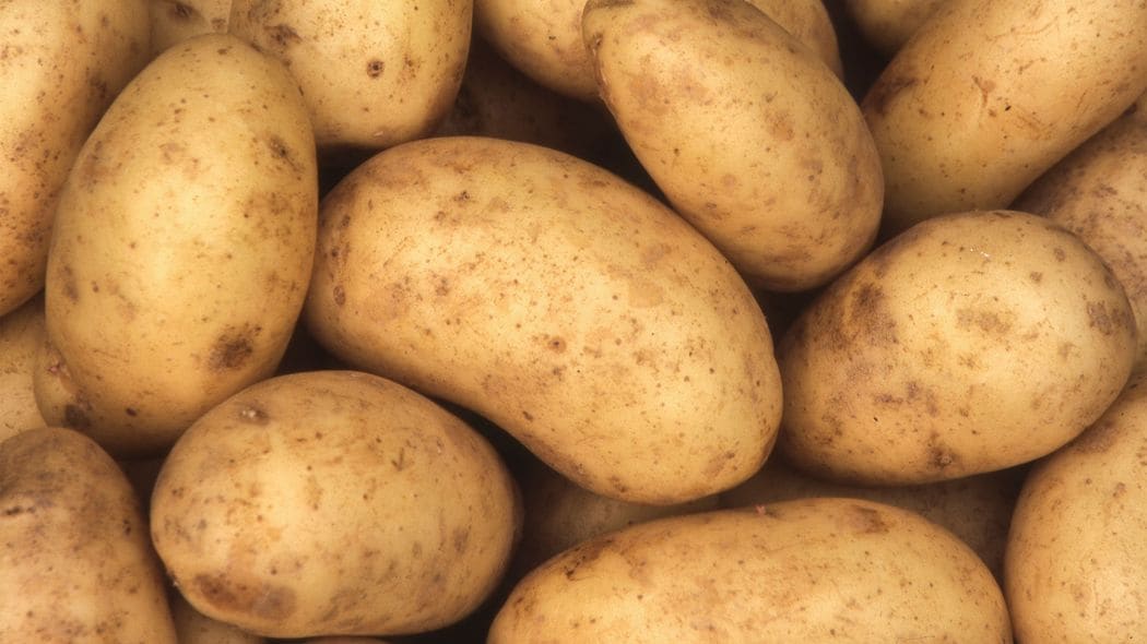 実はダイエットに最適なのに…ほとんどの人が｢食べたら太る｣と勘違いしている意外な食材【2022編集部セレクション】 栄養価が高く､筋トレにも適している