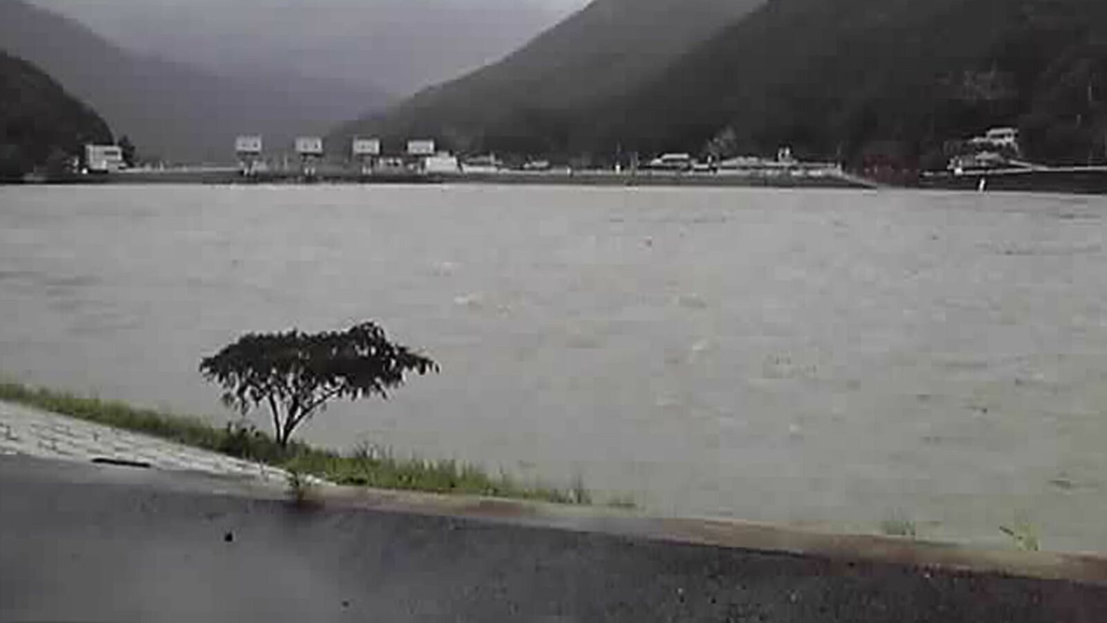 ｢川｣や｢沼｣がなくても安心できない…地名にあると水害の恐れがある｢2つの動物の名前｣ ｢水流｣や｢湿地帯｣に由来している