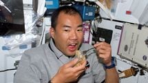 ｢うなぎ｣でも｢ラーメン｣でもない…味覚がバカになる無重力空間で宇宙飛行士人気NO.1の｢日本食メニュー｣