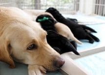 「いつも一緒」の親子はうまくいかない