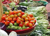 130％　－野菜の高騰は、猛暑が主因ではなかった