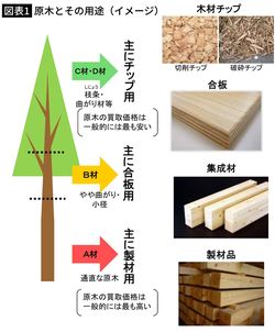 【図表1】原木とその用途（イメージ）