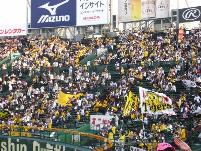 阪神タイガース戦のの観客
