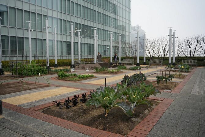 都会の一等地でいきなり農園ですか…これも大阪駅の真上にある