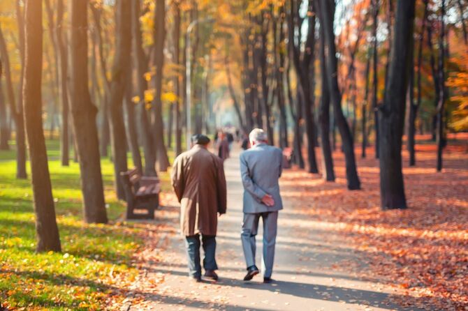 秋の公園を歩くシニア男性のペア