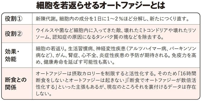 細胞を若返らせるオートファジーとは