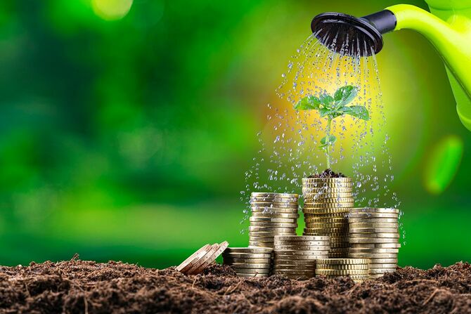 コインと散水プラント