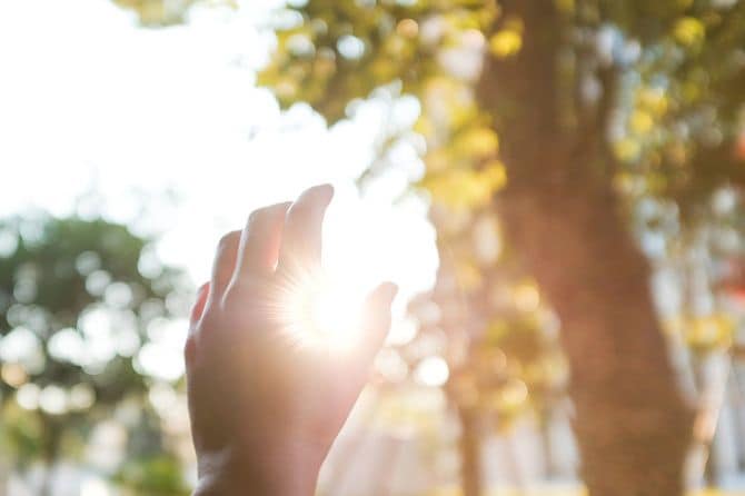 木漏れ日に手を伸ばす