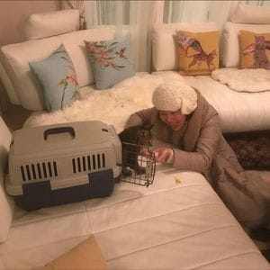 無事に帰宅したたいちゃん