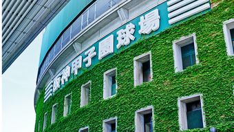 ｢夏の甲子園｣7イニング制は是か非か…元プロ選手が"現場の声"をもとに提案する驚きの"全員納得"案