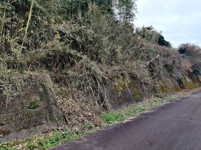 入口の階段まで雑草に埋もれた擁壁上の放棄区画。すぐに利用可能な更地でも損ねである限界分譲地において、多額の工事費用を要する擁壁は大きなマイナス要素となり、極端に流動性が悪くなる。(千葉県成田市津富浦)