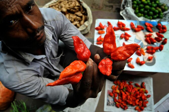 2010年7月25日、インド北東部グワハティ市のウィークリー・マーケットで、世界一辛い唐辛子「ブートジョロキア」を売る業者。