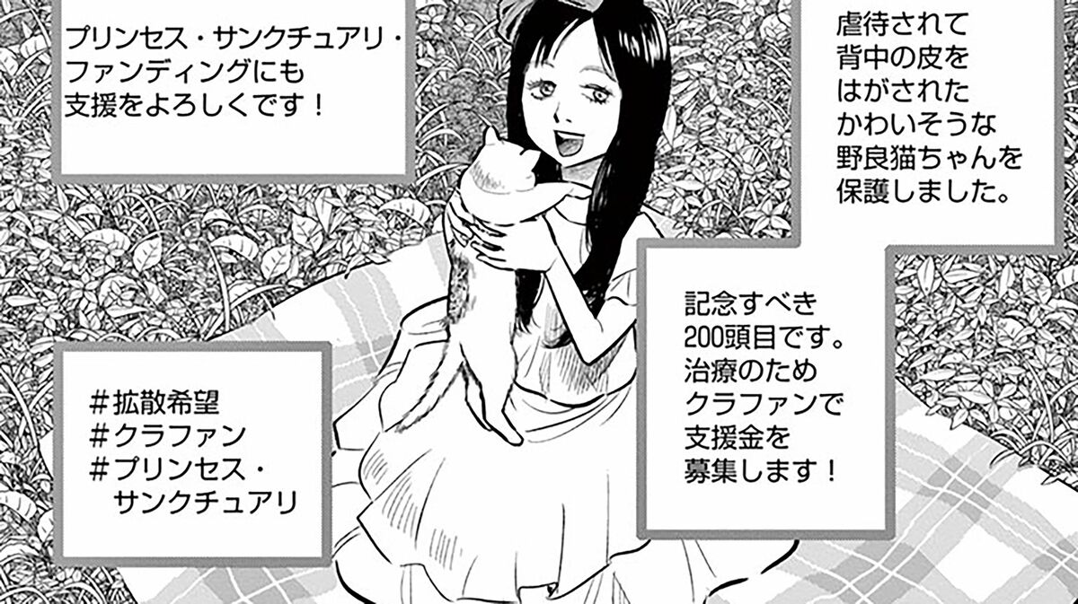 保護猫のためにクラウドファンディグ始めます 支援ビジネス少女の正体は しっぽの声 第7巻 第52話 コミック しっぽの声 President Online プレジデントオンライン