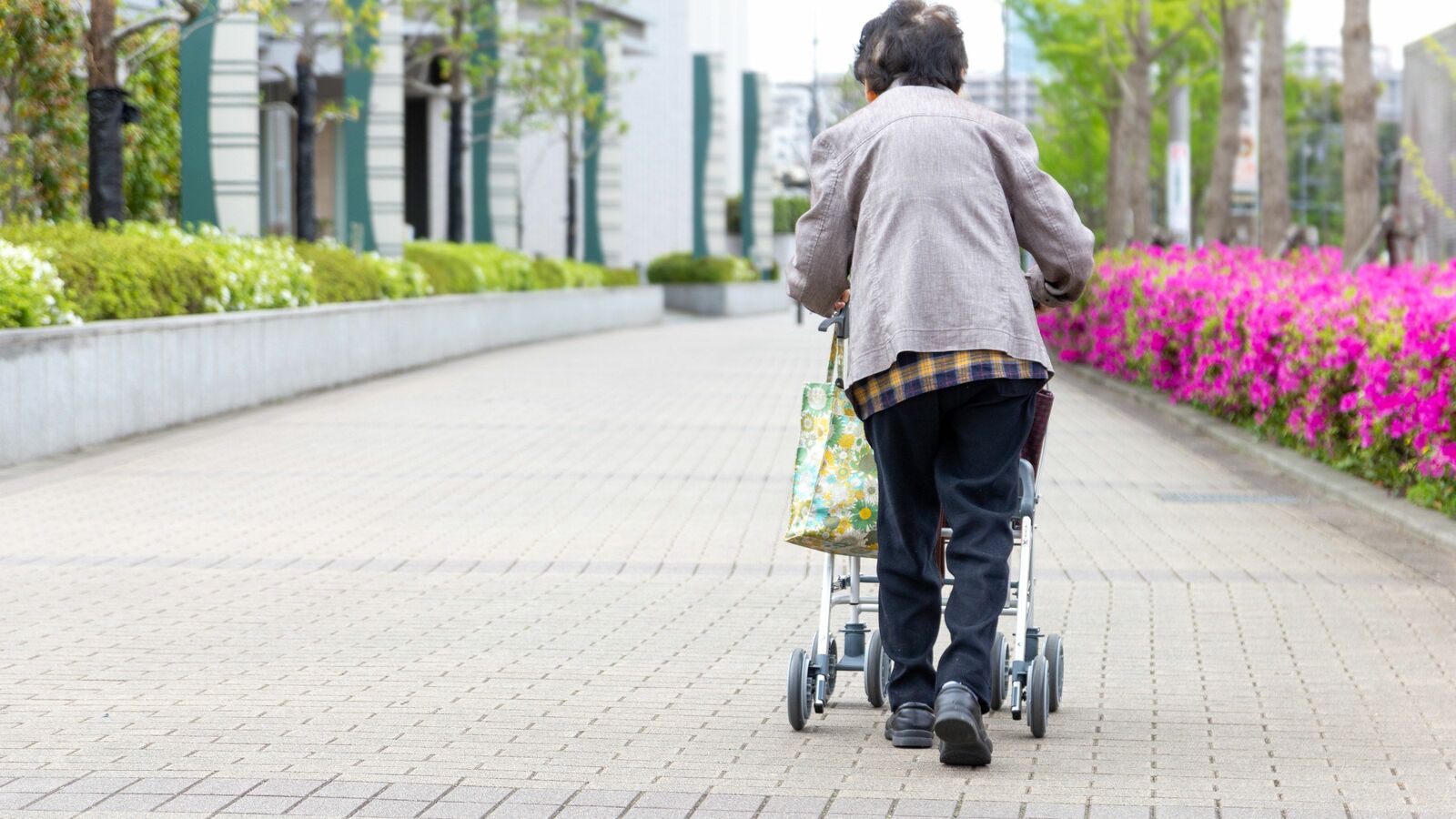 もう絶望死しかない…介護10年で最愛母を失い鬱になった60代独身息子の目の前の"1億円"の意外すぎる使い道 魂の抜け殻になって…2年後からもらえる年金は月9万円のみ