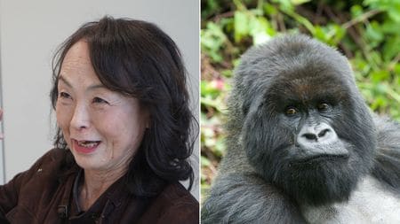 子供の命を奪った犯人とすぐに交尾する…ゴリラの母親が｢死んだ子供