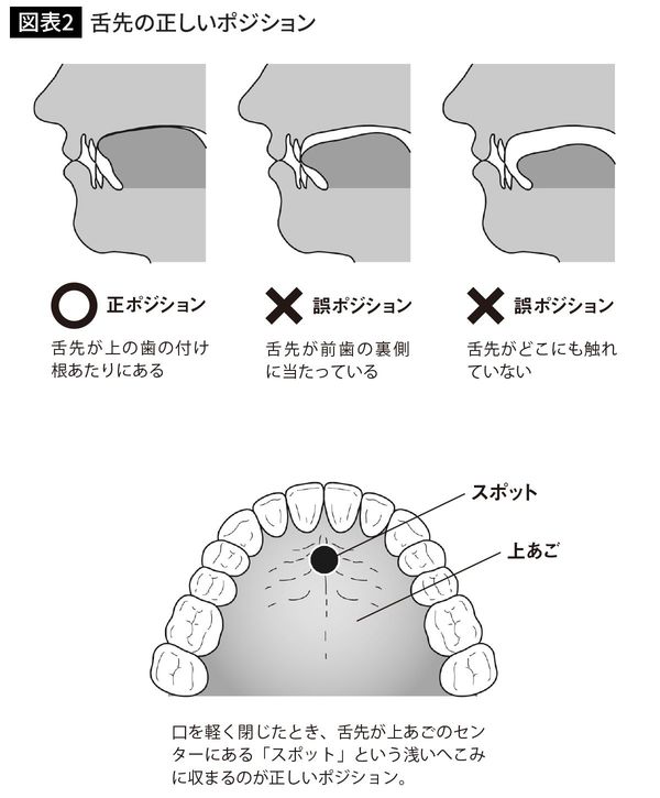 舌先の正しいポジション