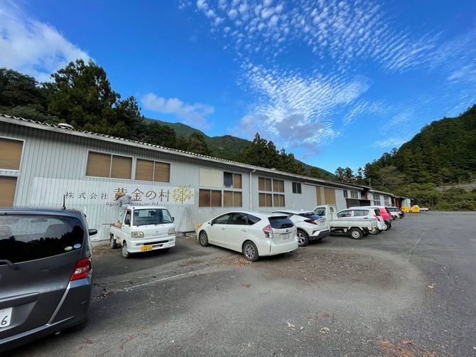「黄金の村」のユズ工場