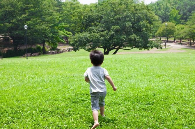 公園を走る子どもの後ろ姿