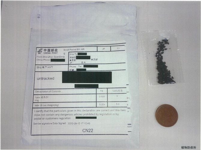 東京都渋谷区内に届いた白い袋と、入っていた種のようなもの