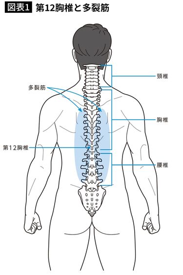 ラグビー代表を再生させた 
