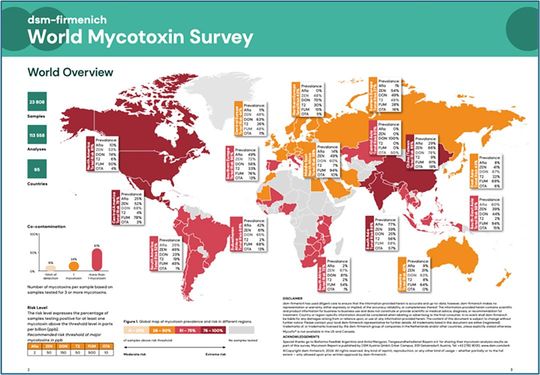 世界の食品や飼料が、カビ毒に汚染されている
